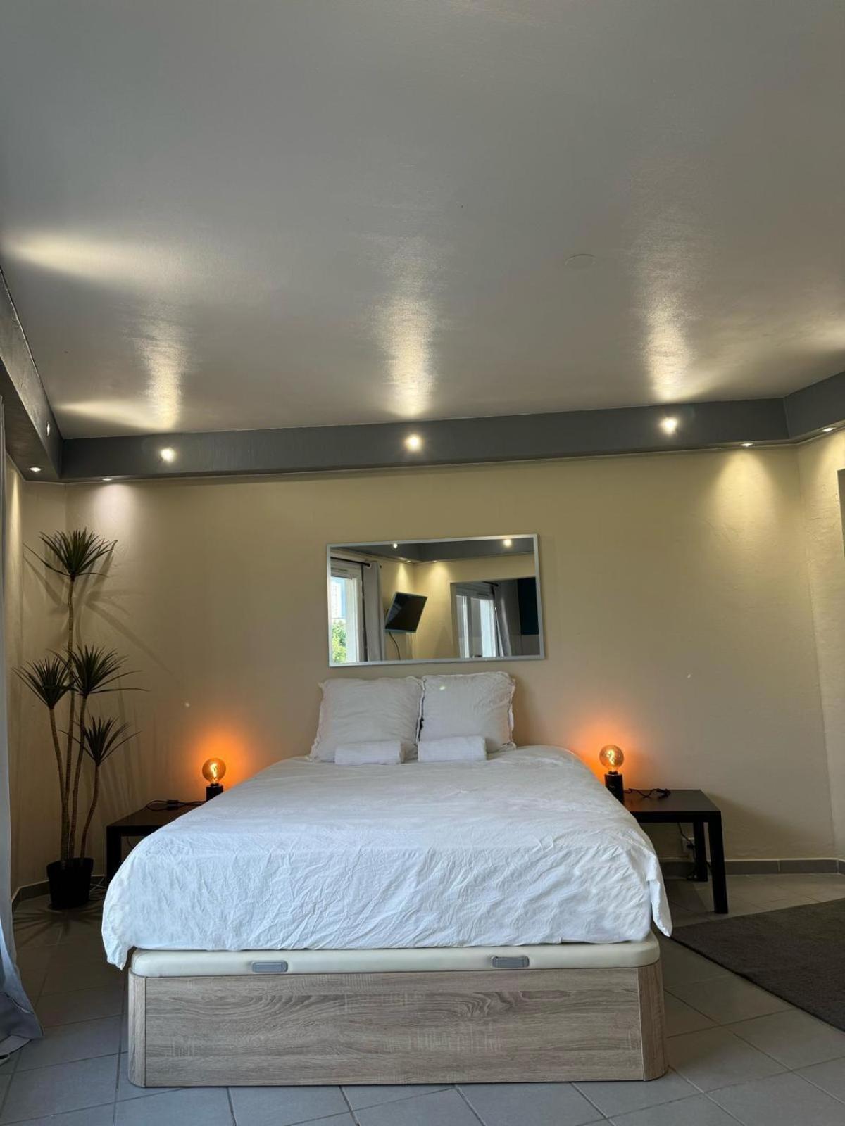 Appart' Hotel Fauriel Saint Etienne Avec Parking Екстер'єр фото